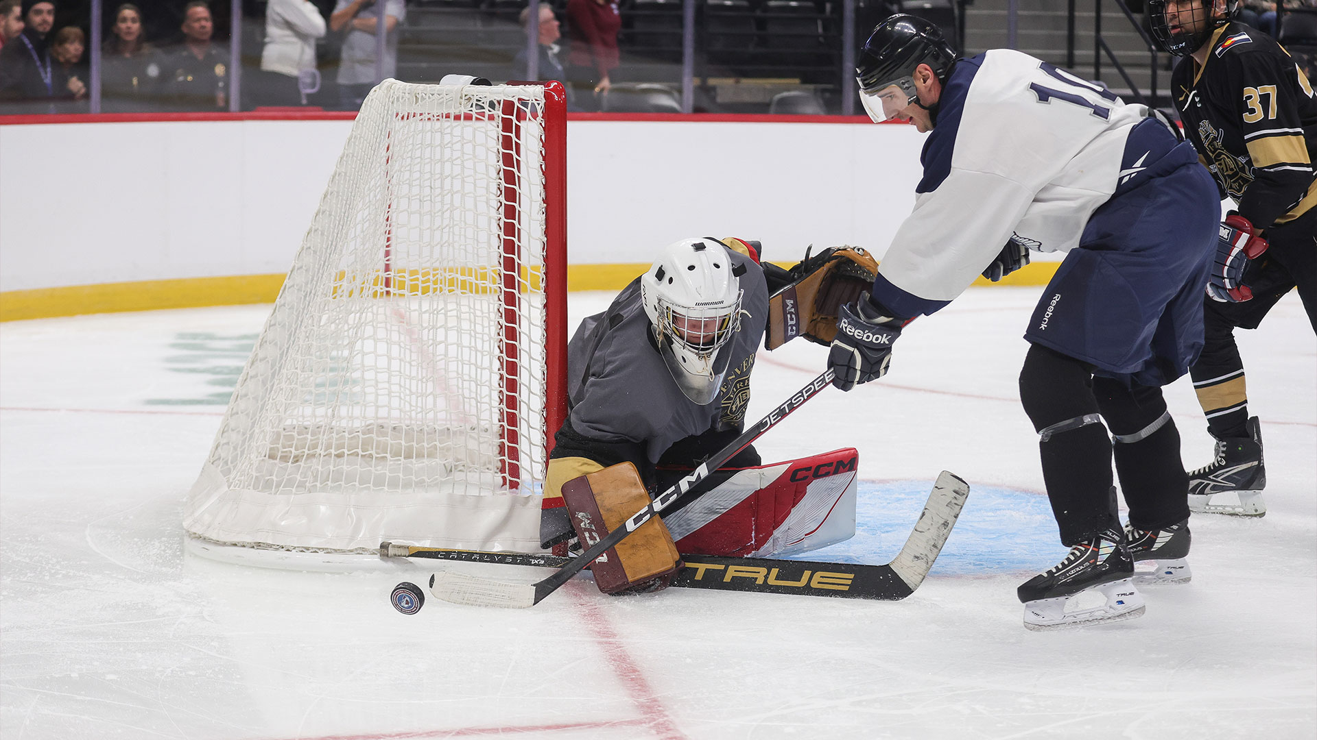 two ice hockey players playing hockey